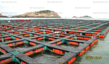 Catfish Fish Farming Floating Cage Aquaculture