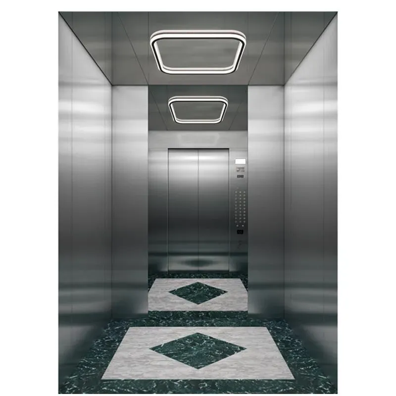 Panoramic Lift for Residential and Commercial Buildings