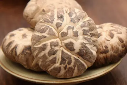 Tea Flower Shiitake Mushroom