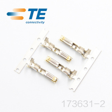 TE Connectors AMP 173631-2 - In Stock