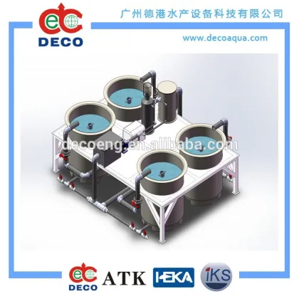 100m3 DECO Recirculating Aquaculture System for catfish