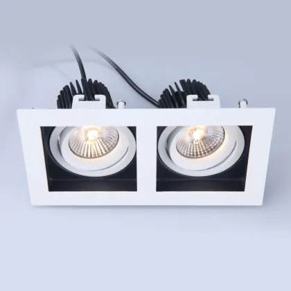 Customizable Double Head Anti-Glare COB Downlight
