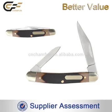 2 Blade Traditional Folding Hunting Pocket Knife