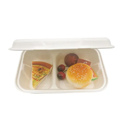 Biodegradable Pulp Disposable 9x6'' 2 cpt Food Container