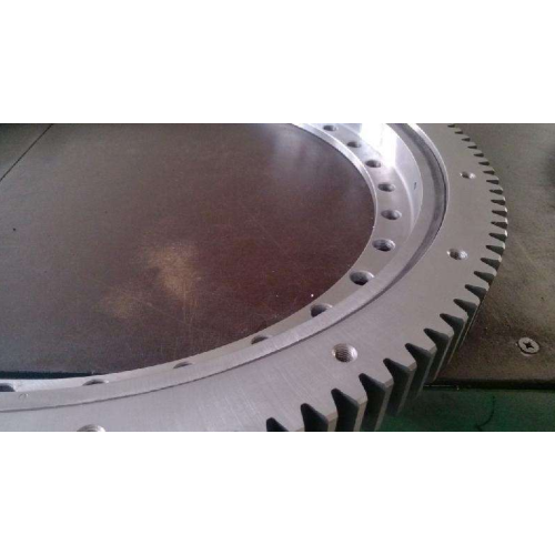 78872 Slewing Ring Bearing