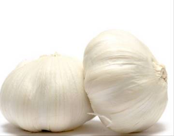 5.0cm-6.5cm normal white garlic