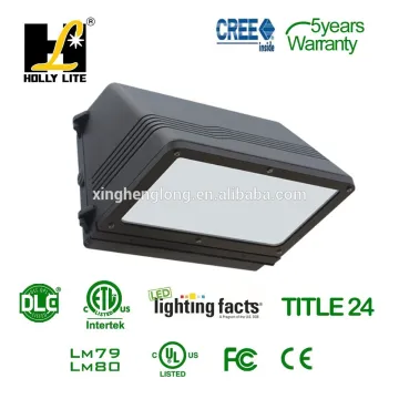 led outdoor wall lamps , holly lite