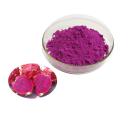 Freeze Dried Dragon Fruit Powder Price