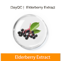 Bulk schwarze Elderberryxtrakt Pulver Elderberry Anthocyanin