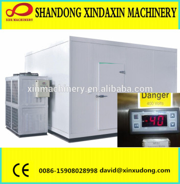 cold storage room quick freezer