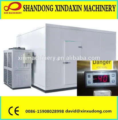 cold storage room quick freezer
