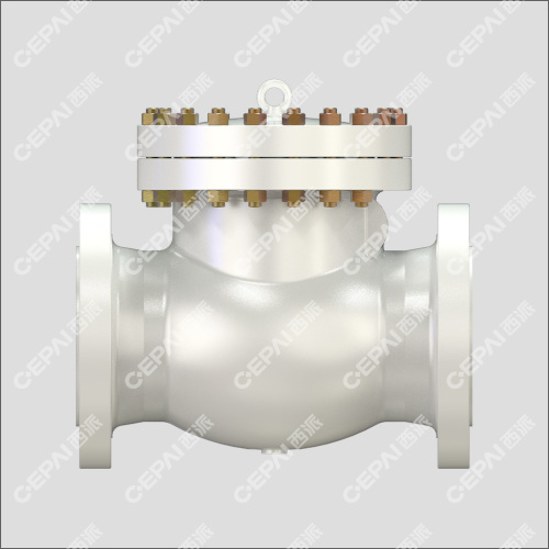 Casting Swing Check Valve