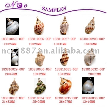 Shell Pendant