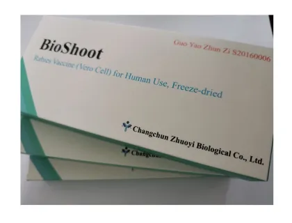 Rabies Exposure In Humans