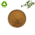 Quality Eucalyptus Globulus Leaf Extract Powder