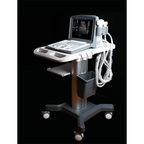 Portable Color Doppler Ultrasound Scanner for Vascular