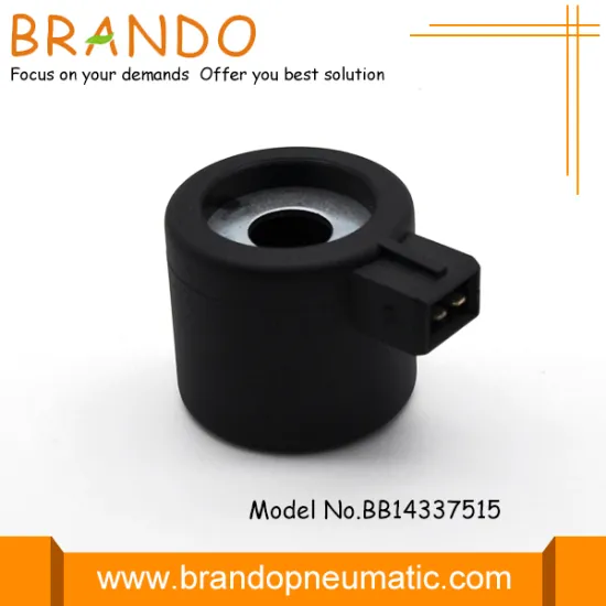 12v Cng Valve Coil