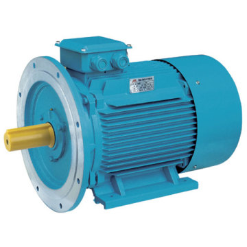 High Efficiency Motor