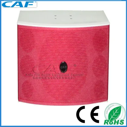 Pro Hi-Fi Professional Powered Stage Karaoke Speaker H-12
