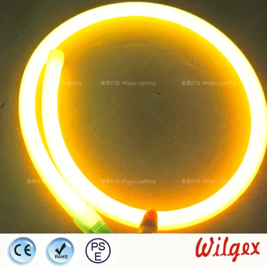 RGB LED Neon Flex DMX