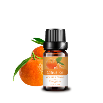 Citrus Aroma orgánico Perfume Aceite esencial al por mayor