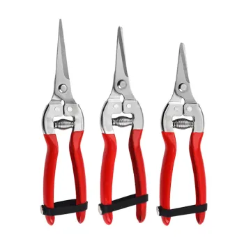 Stainless Steel Garden Fruit Picker Scissors and Grape Fruit Harvest Tools