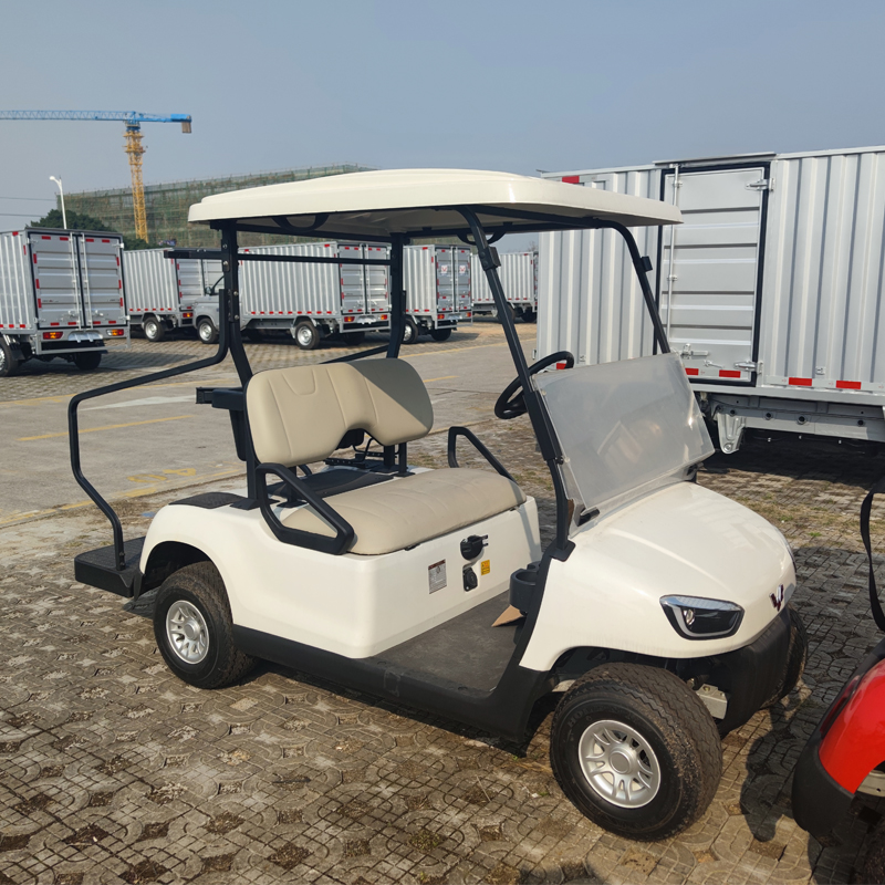 2-seater lead-acid electric vehicle