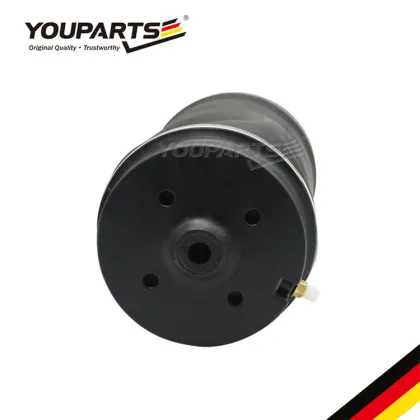 YOUPARTS 2513200425 Air Spring Air Bag Suspension for Mercedes-Benz R-Class W251