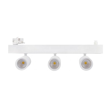Ronse 3*30W Track Light System met Dali -besturingselement