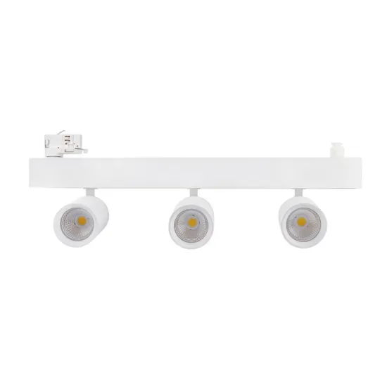 RONSE 3*30w Track Light System with DALI Control