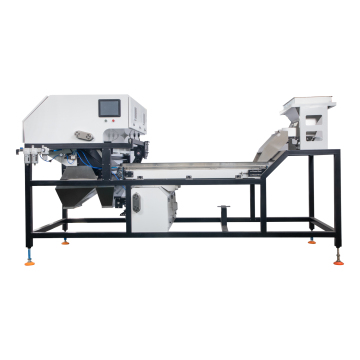 Optical Belt Type Color Sorter Machine for Macadamia Nut Sorting