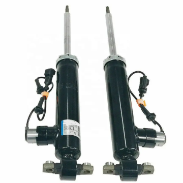 Electric Fit Rear Shock Absorbers for Lincoln MKZ 2013-2017 - ASH24635