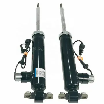 Electric Fit Rear Shock Absorbers for Lincoln MKZ 2013-2017 - ASH24635