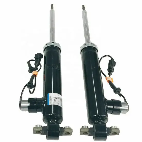 Electric Fit Rear Shock Absorbers for Lincoln MKZ 2013-2017 - ASH24635