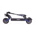 Offroad Electric Scooter 2 gulong