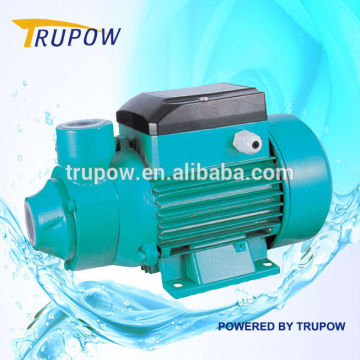 PKM60 Cast Iron pumps