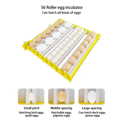 56eggs Intelligent Automatic Mini Eggs Incubator