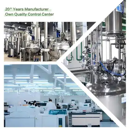 Organic Lion's Mane Mushroom Powder