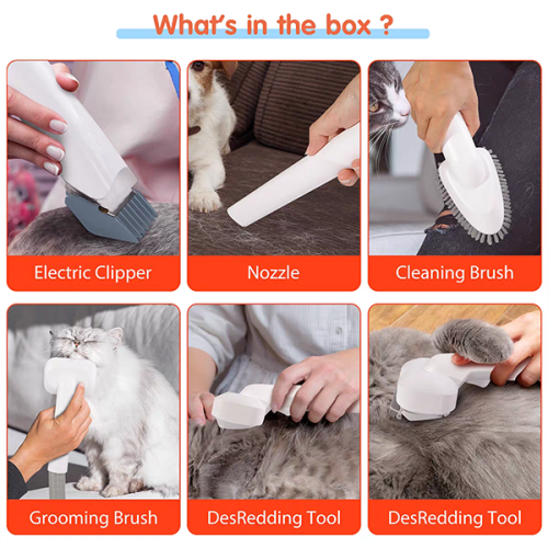 Top Warranty High Quality cat grooming