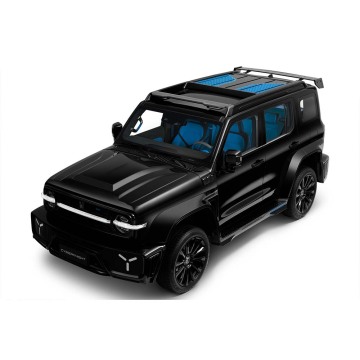 2024 Hot Sale Great Wall Tank 300 Petrol Crossover SUV