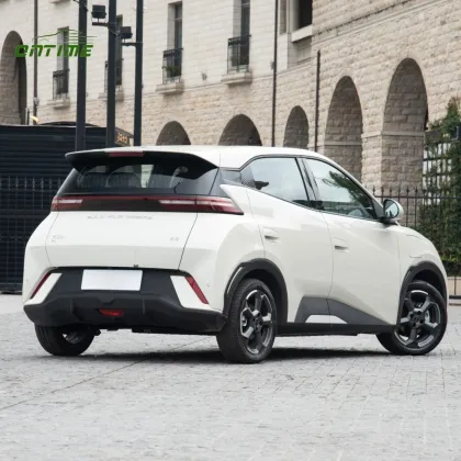 Ontime New Energy Electric Vehicle Small Household Electric Vehicle