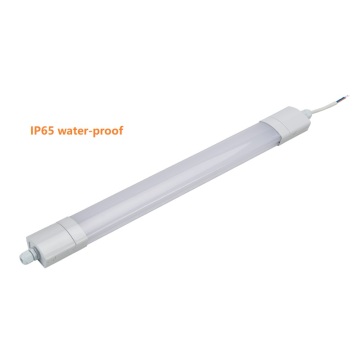 Zhongshan OEM ODM IP65 IK08 4 ft 5 ft Triproof LED Light