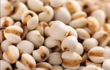 Coix Seed Extract Job' s Tears Powder Extracts