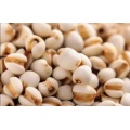 Estratti di polvere di Extract Seed Extract Coix