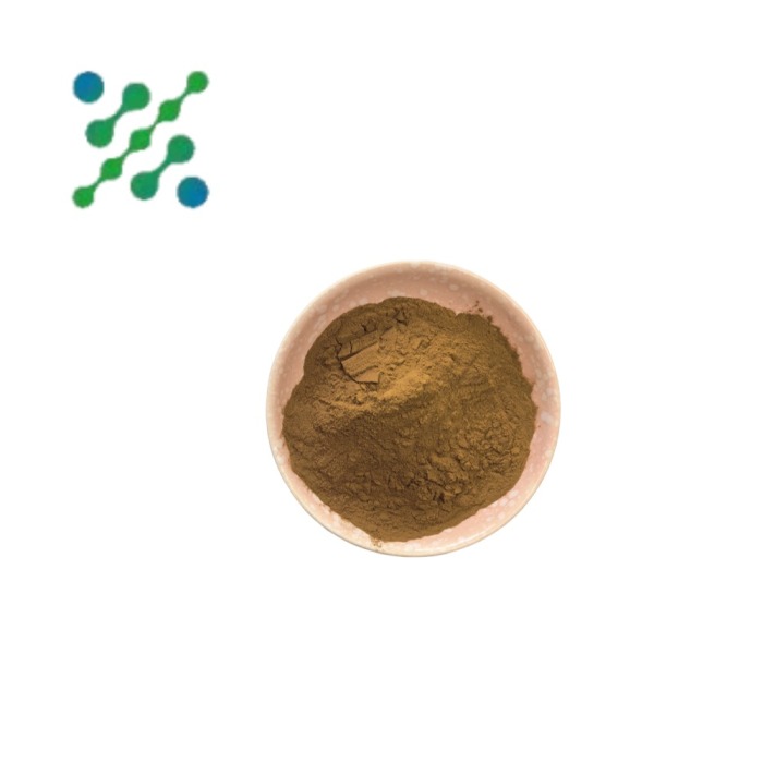 High-Quality Ceylon Cinnamon Extract for Health Benefits
