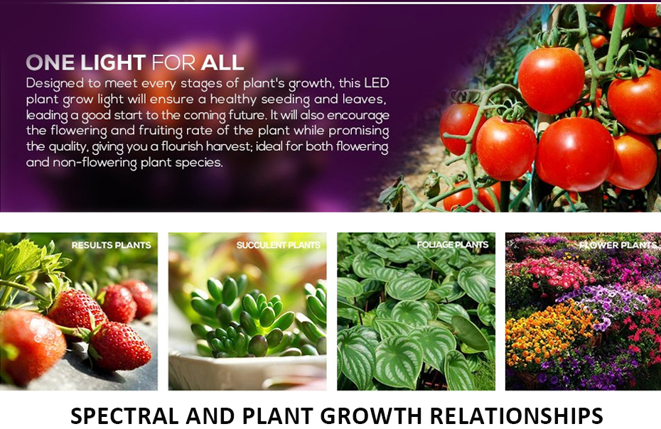 LED Grow Light