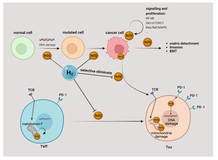 hydrogen health care (5)