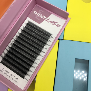 W Shape Volume Eyelash Extensions: 3D, 4D, 5D, 6D Individual False Lashes & Private Label Options