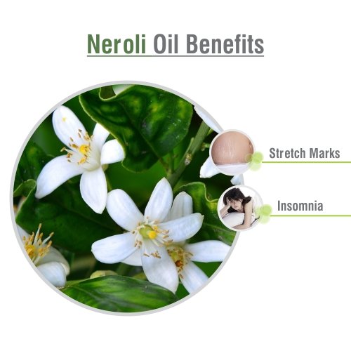 Suministro de aceite esencial de neroli puro y orgánico a granel.