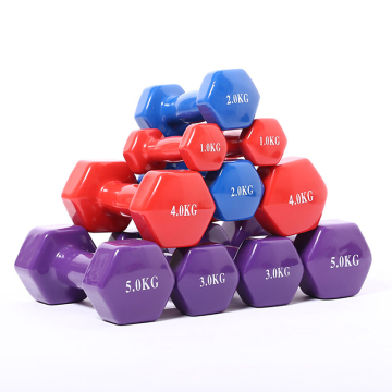 Customized Neoprene Coated Hex Dumbbells 1Kg-4Kg High Quality Gym Fitness